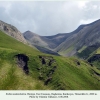 erebia melancholica biotope daghestan a